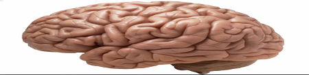 Tired Flat Brain