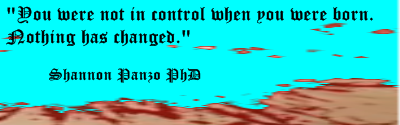 You Were NOT in Control When You Were Born. Nothing Has Changed. - Shannon Panzo PhD